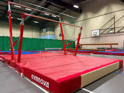 Image result for North East London Gymnastics Club