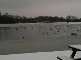 Image result for Aldenham Sailing Club