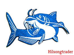 Image result for Ictalurus furcatus