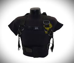 Image result for innerspace divers