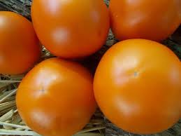 Afbeeldingsresultaat voor belarus orange tomato