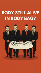 Image result for Orbit Infant System Anne Heche