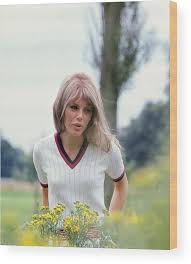 Image result for britt ekland
