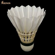 Image result for Apollo Badminton Club