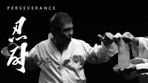 Image result for Hed Tkd (Dorking Tae Kwon-Do)