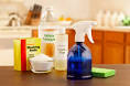 Non-toxic Home Cleaning &amp; Care: Natural, Green, Eco-Friendly ...