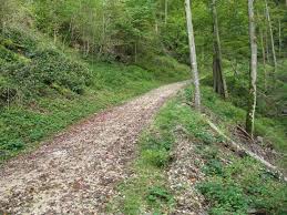 Attēlu rezultāti vaicājumam “Xanthorhoe biriviata”