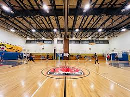 Image result for Dragons Badminton Club