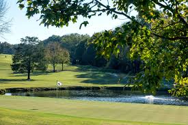 Image result for Cringlewood Club