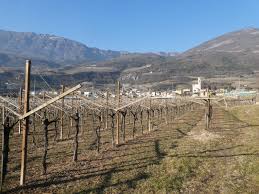 Attēlu rezultāti vaicājumam “Clossiana selene upperside”