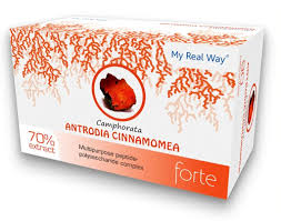 Attēlu rezultāti vaicājumam “Antrodia”