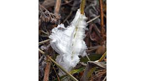 Attēlu rezultāti vaicājumam “Frost Flowers”
