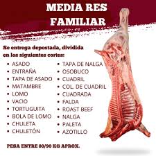 Image result for media res