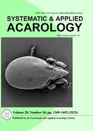 Attēlu rezultāti vaicājumam “Belbodamaeus sp.”