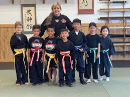 Image result for M-S-N Ninjutsu (Bujinkan) Club