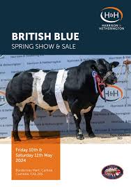 Image result for Minstrel Blue 1998 Jaguar