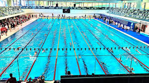 Image result for Plymouth Leander Swimming Association