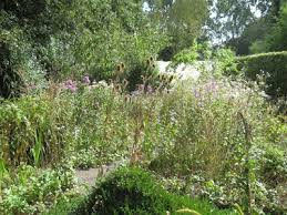 Image result for Priona Tuinen