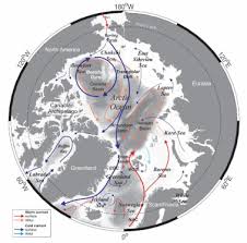 Image result for Arctogadus glacialis