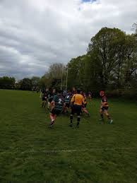 Image result for Abbots Langley Cricket Club