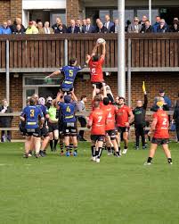 Image result for Ipswich Ym Rugby Union Football Club