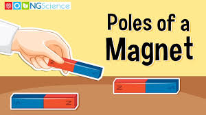 Image result for Pole Magnets