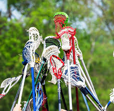 Image result for Welwyn Warriors Lacrosse Club