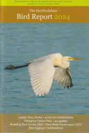 Image result for Herts Falcons