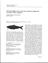 Image result for Alosa alabamae