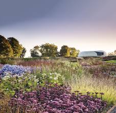 Image result for Piet Oudolf