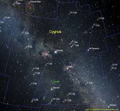 Attēlu rezultāti vaicājumam “Cygnus”