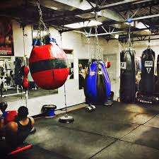 Image result for York University Boxing Club