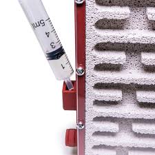 Image result for ytong ants