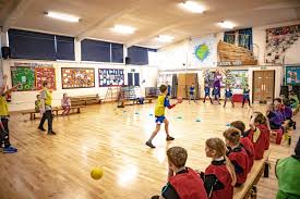 Image result for Enderby Dodgeball Club