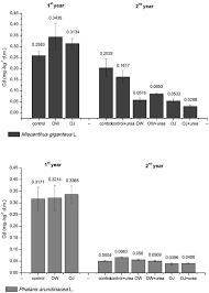 Attēlu rezultāti vaicājumam “Phalaroides arundinacea fruit”