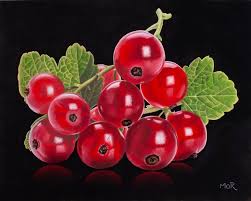 Attēlu rezultāti vaicājumam “Ribes rubrum”