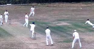 Image result for South Weald Cricket Club