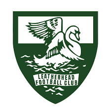 Image result for Leatherhead Hockey Club