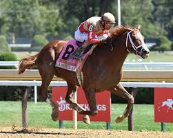 Image result for The Horse Racing Club