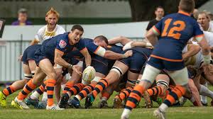 Image result for York Rugby Union Football Club
