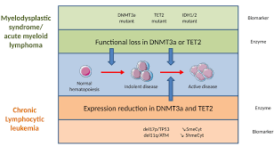 Image result for *mankai.co.jp ドメイン