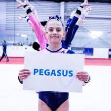 Image result for Pegasus Trampoline Club