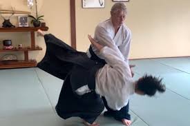 Image result for Durham City Aikikai