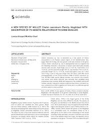 Image result for Chelon dumerili