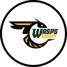 Image result for West Coast Wasps Skater Hockey Club