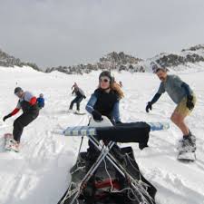 Image result for extreme ironing