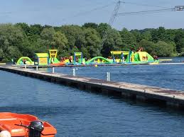 Image result for New Forest/Waterside