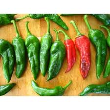 Afbeeldingsresultaat voor numex chimayo hot pepper