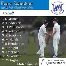 Image result for Hook Norton Junior Cricket Club