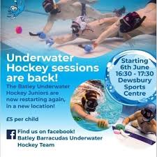 Image result for Halifax Octopush Club